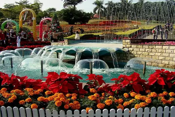 Buse de fontaine à champignons 2 Jellyfish Nozzle1